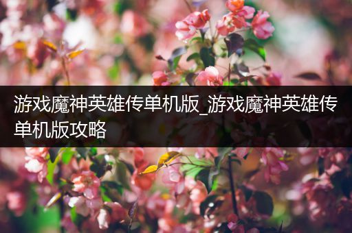 游戏魔神英雄传单机版_游戏魔神英雄传单机版攻略