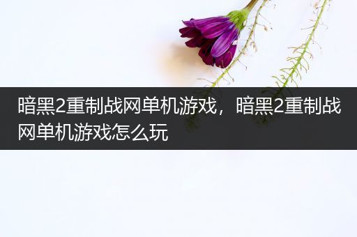 暗黑2重制战网单机游戏，暗黑2重制战网单机游戏怎么玩