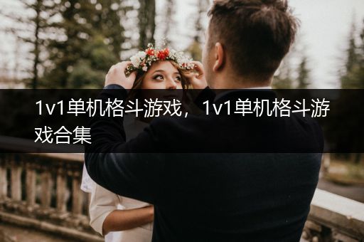 1v1单机格斗游戏，1v1单机格斗游戏合集