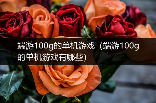 端游100g的单机游戏（端游100g的单机游戏有哪些）
