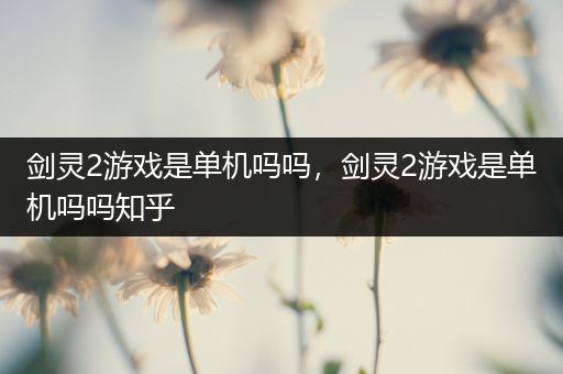 剑灵2游戏是单机吗吗，剑灵2游戏是单机吗吗知乎