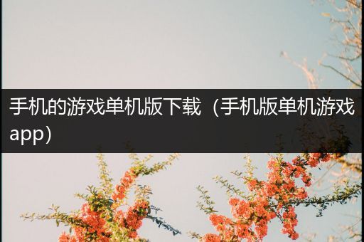 手机的游戏单机版下载（手机版单机游戏app）