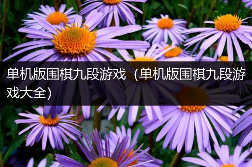 单机版围棋九段游戏（单机版围棋九段游戏大全）