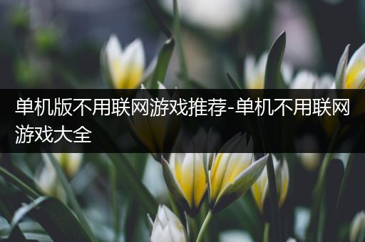 单机版不用联网游戏推荐-单机不用联网游戏大全