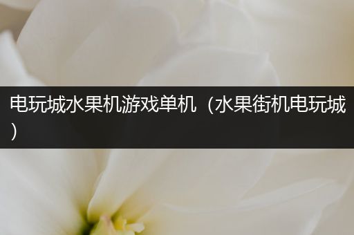 电玩城水果机游戏单机（水果街机电玩城）