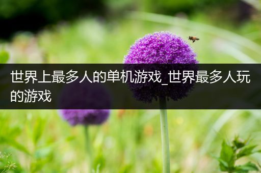 世界上最多人的单机游戏_世界最多人玩的游戏