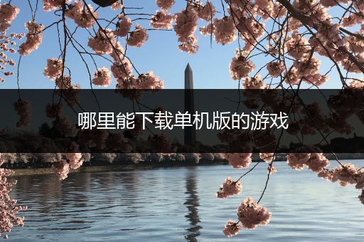 哪里能下载单机版的游戏