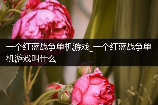 一个红蓝战争单机游戏_一个红蓝战争单机游戏叫什么