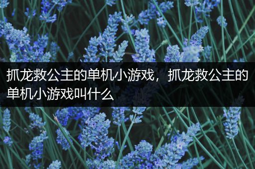 抓龙救公主的单机小游戏，抓龙救公主的单机小游戏叫什么