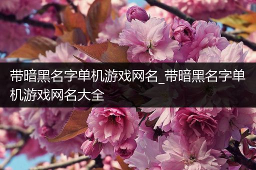 带暗黑名字单机游戏网名_带暗黑名字单机游戏网名大全