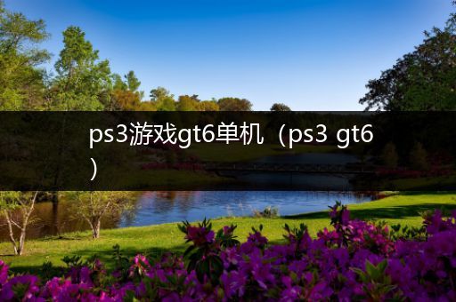 ps3游戏gt6单机（ps3 gt6）