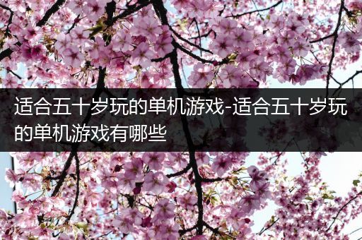 适合五十岁玩的单机游戏-适合五十岁玩的单机游戏有哪些