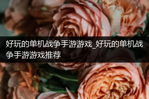 好玩的单机战争手游游戏_好玩的单机战争手游游戏推荐