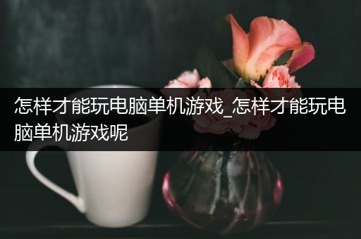 怎样才能玩电脑单机游戏_怎样才能玩电脑单机游戏呢