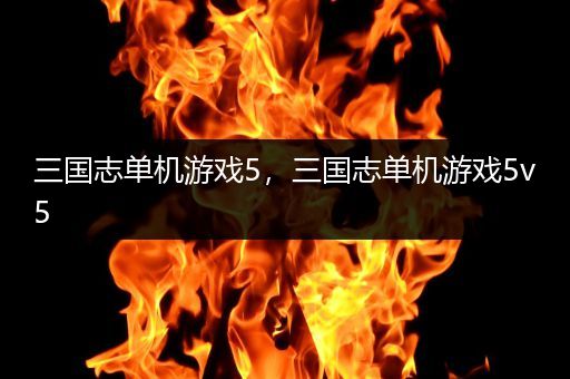 三国志单机游戏5，三国志单机游戏5v5