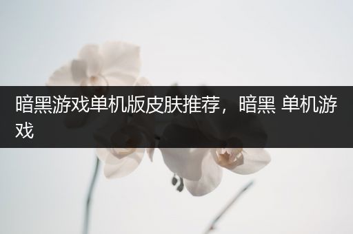 暗黑游戏单机版皮肤推荐，暗黑 单机游戏