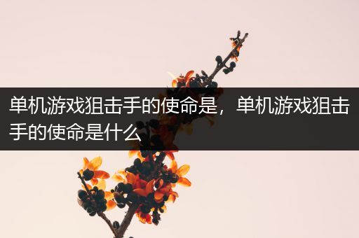 单机游戏狙击手的使命是，单机游戏狙击手的使命是什么