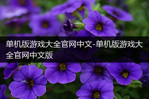 单机版游戏大全官网中文-单机版游戏大全官网中文版