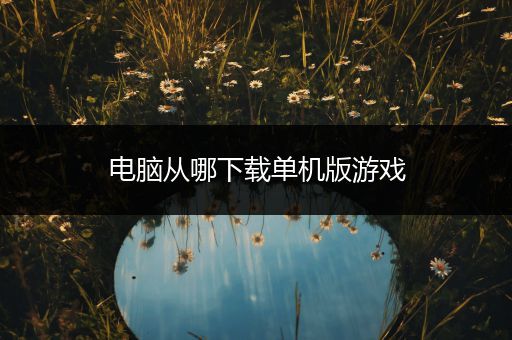 电脑从哪下载单机版游戏