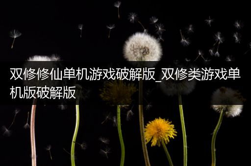 双修修仙单机游戏破解版_双修类游戏单机版破解版