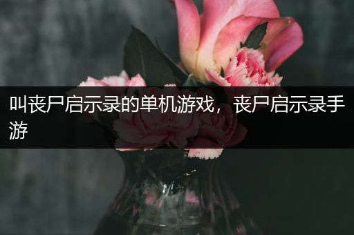 叫丧尸启示录的单机游戏，丧尸启示录手游
