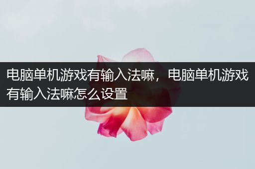 电脑单机游戏有输入法嘛，电脑单机游戏有输入法嘛怎么设置