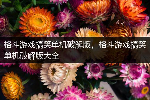 格斗游戏搞笑单机破解版，格斗游戏搞笑单机破解版大全