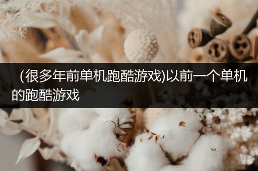 （很多年前单机跑酷游戏)以前一个单机的跑酷游戏
