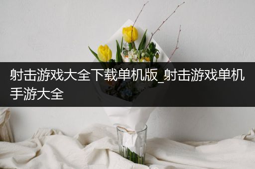 射击游戏大全下载单机版_射击游戏单机手游大全