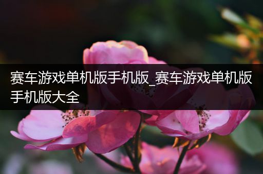 赛车游戏单机版手机版_赛车游戏单机版手机版大全