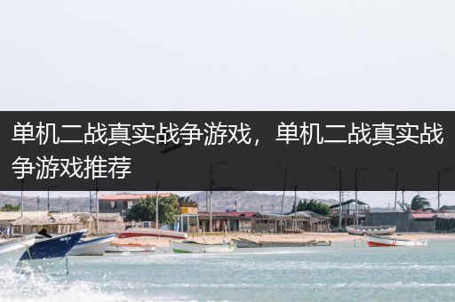 单机二战真实战争游戏，单机二战真实战争游戏推荐
