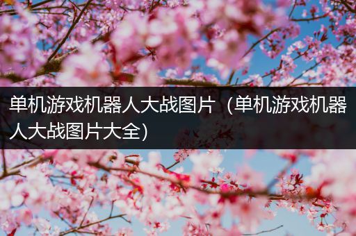 单机游戏机器人大战图片（单机游戏机器人大战图片大全）