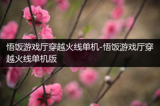 悟饭游戏厅穿越火线单机-悟饭游戏厅穿越火线单机版