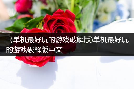 （单机最好玩的游戏破解版)单机最好玩的游戏破解版中文