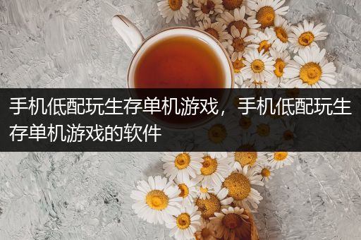 手机低配玩生存单机游戏，手机低配玩生存单机游戏的软件