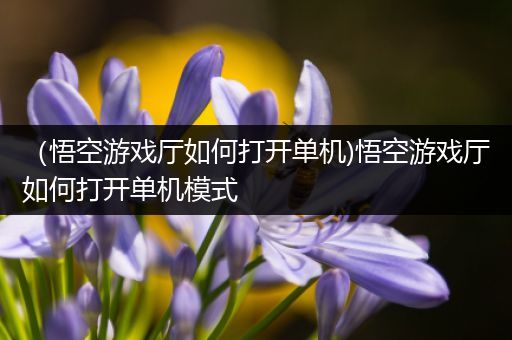 （悟空游戏厅如何打开单机)悟空游戏厅如何打开单机模式