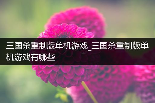三国杀重制版单机游戏_三国杀重制版单机游戏有哪些