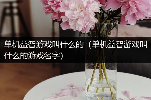 单机益智游戏叫什么的（单机益智游戏叫什么的游戏名字）
