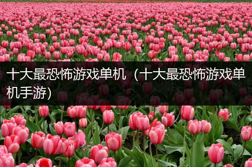 十大最恐怖游戏单机（十大最恐怖游戏单机手游）