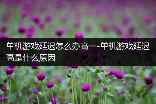 单机游戏延迟怎么办高一-单机游戏延迟高是什么原因