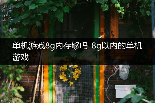 单机游戏8g内存够吗-8g以内的单机游戏