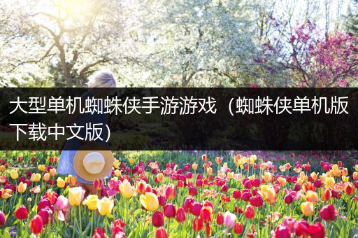 大型单机蜘蛛侠手游游戏（蜘蛛侠单机版下载中文版）