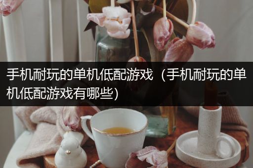 手机耐玩的单机低配游戏（手机耐玩的单机低配游戏有哪些）