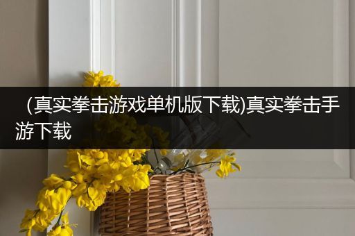 （真实拳击游戏单机版下载)真实拳击手游下载