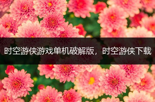 时空游侠游戏单机破解版，时空游侠下载