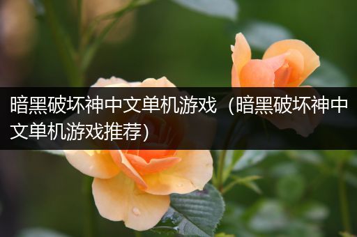 暗黑破坏神中文单机游戏（暗黑破坏神中文单机游戏推荐）