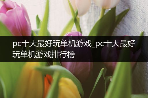 pc十大最好玩单机游戏_pc十大最好玩单机游戏排行榜