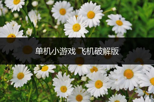 单机小游戏 飞机破解版