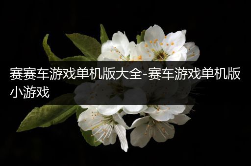赛赛车游戏单机版大全-赛车游戏单机版小游戏