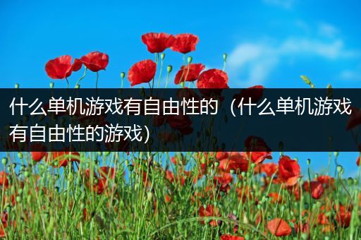 什么单机游戏有自由性的（什么单机游戏有自由性的游戏）